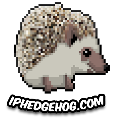 hedgehog image